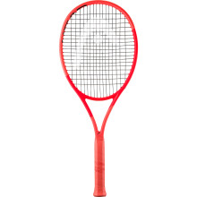 RAQUETTE HEAD RADICAL TEAM L (260 GR) (CORDEE)