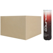 CARTON DE 24 TUBES DE 4 BALLES SOLINCO