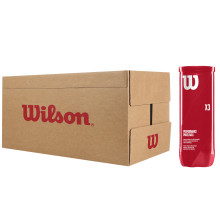 CARTON DE 24 TUBES DE 3 BALLES DE PADEL WILSON
